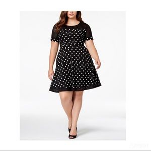 NWT Polka Dots Dress
